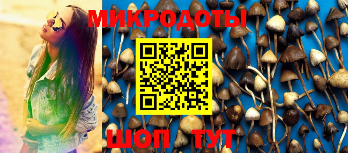 Избербаш  Псилоцибиновые грибы Cubensis  Вход с VPN  Галлюциногенные грибы мицелий 